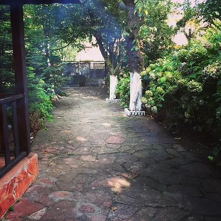 Villa Cebeci Kirkpinar - Private *