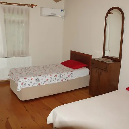 Villa Cebeci Kirkpinar - Private *